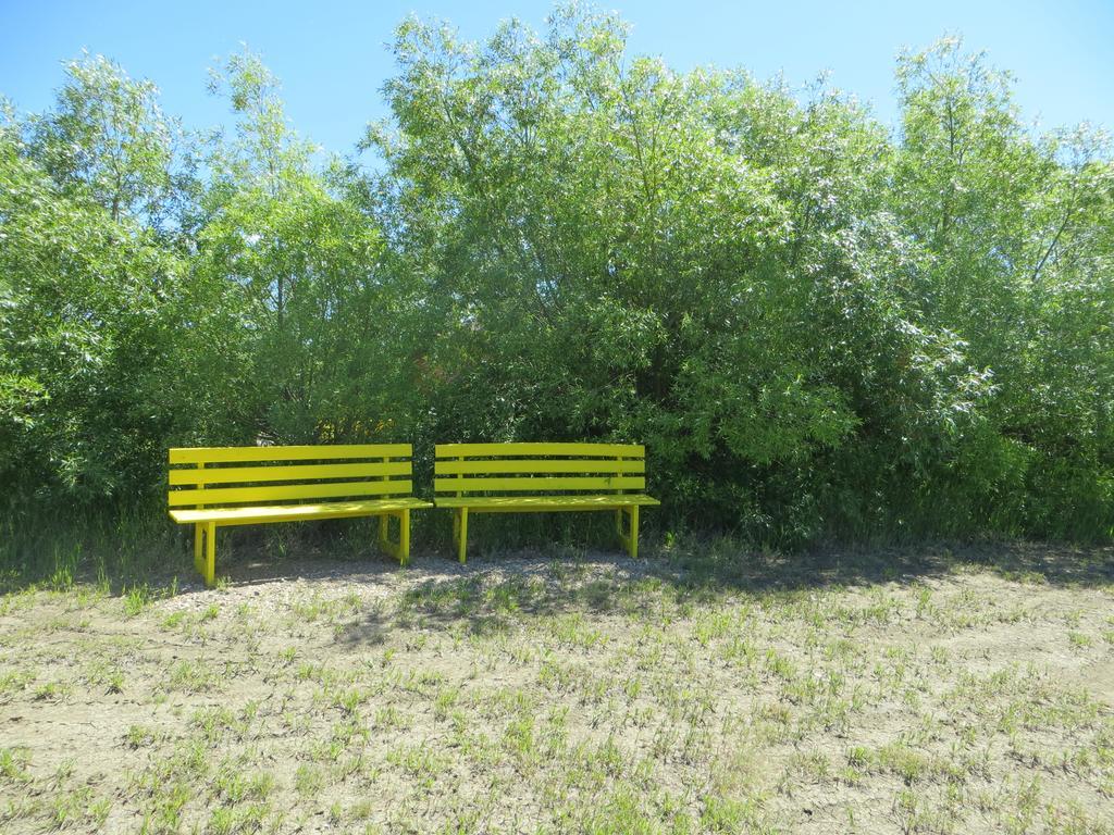 Orchard View Bed And Breakfast Moose Jaw Εξωτερικό φωτογραφία