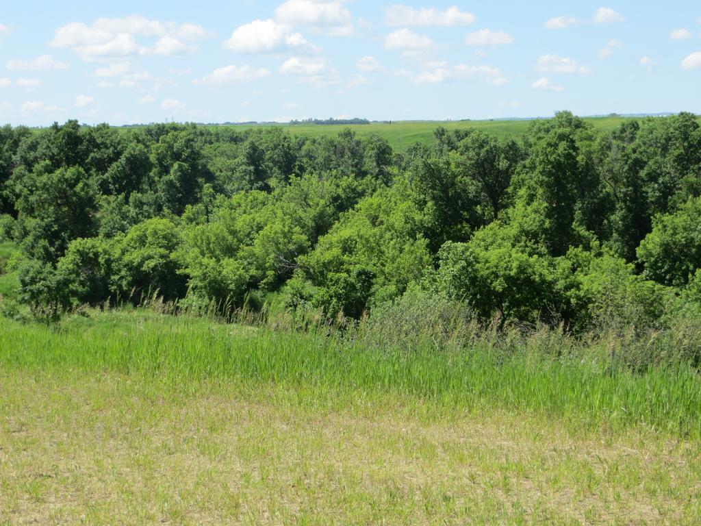 Orchard View Bed And Breakfast Moose Jaw Εξωτερικό φωτογραφία