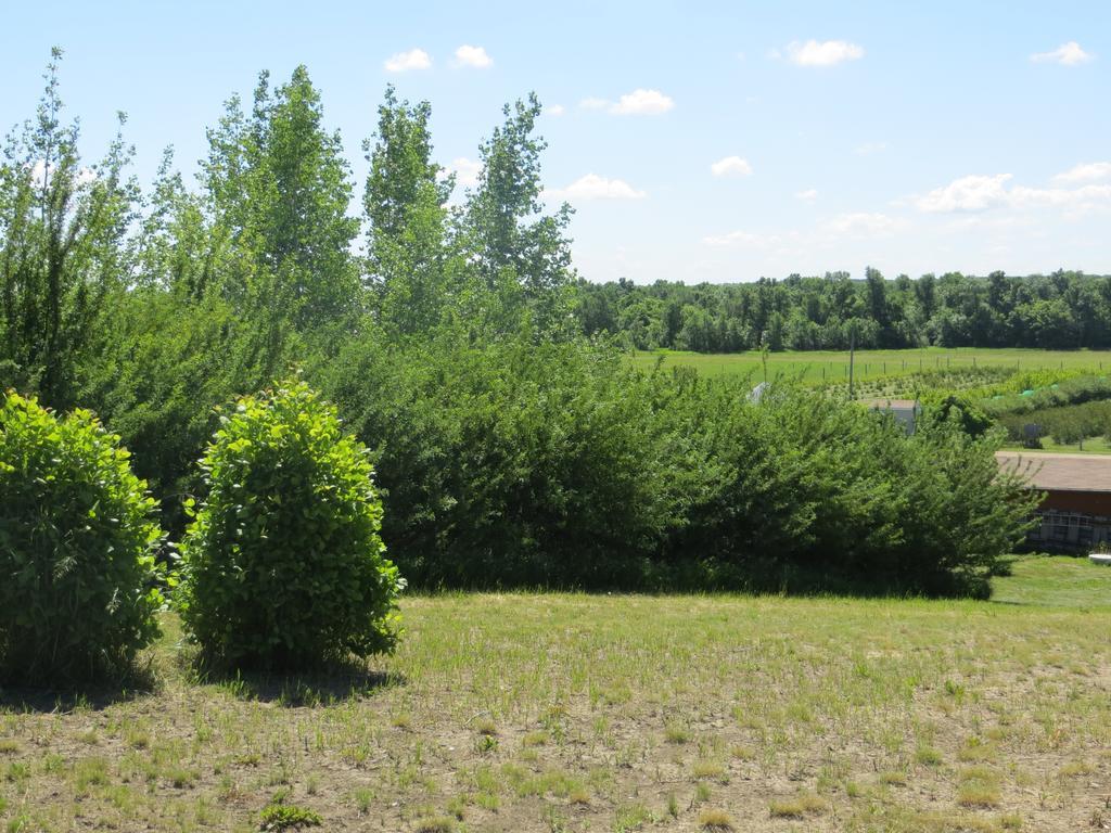 Orchard View Bed And Breakfast Moose Jaw Εξωτερικό φωτογραφία