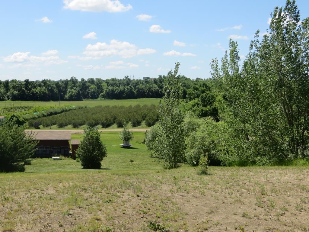 Orchard View Bed And Breakfast Moose Jaw Εξωτερικό φωτογραφία