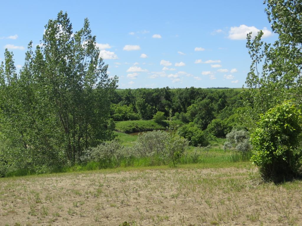 Orchard View Bed And Breakfast Moose Jaw Εξωτερικό φωτογραφία